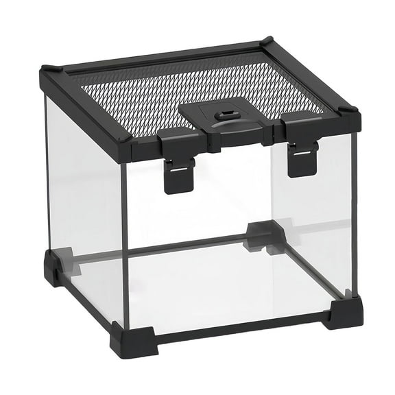Small Amphibians Glass Habitat Cage Sturdy Construction 7.87x6.3 Inch for Turtles Geckos Cockroaches