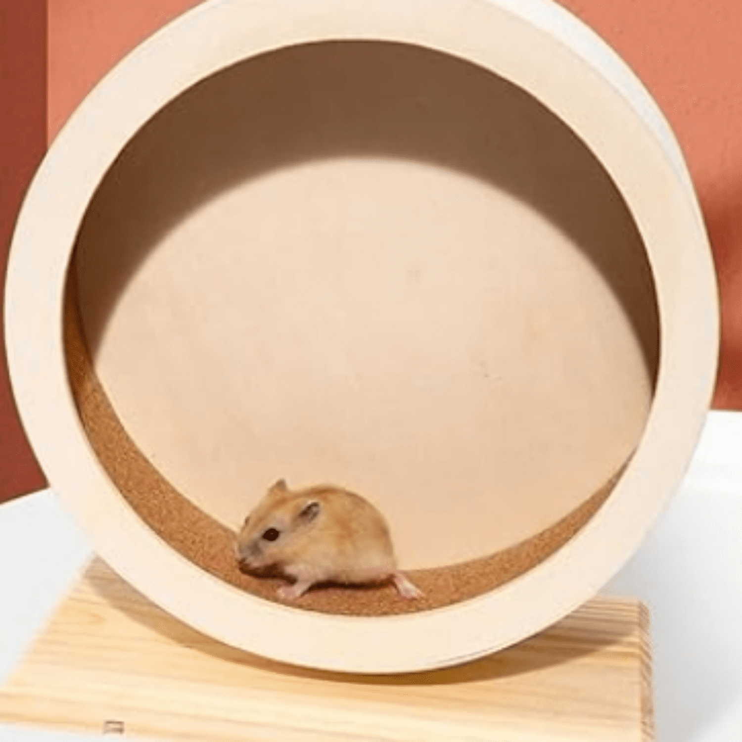 Small Animal Exercise Wheel Accessories, Quiet Spinner Hamster Running Wheels Toys for Hamsters,Guinea Pig, Gerbils, Mice and Other Small Pets,8.2' Medium Size