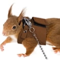 thumbnail image 1 of Small Animal Harness Leash Set 3 Sizes Adjustable Escape Proof Lightweight Training Walking Vest for Squirrel Ferret Chipmunk Outdoor Adventure, 1 of 9