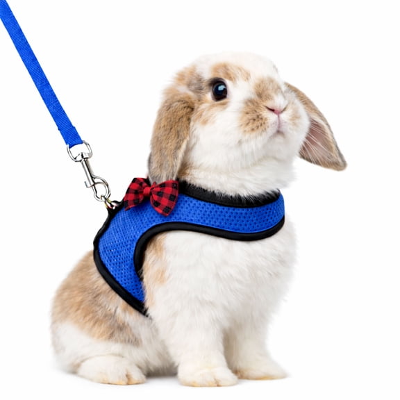 Small Animal Harness and Leash Set Escape Proof - Rabbit Harness with Rope Leash, Soft Breathable Vest for Bunny, Chinchilla, Hamster, Guinea Pig, Ferret, Other Small Pets(Large, Blue)