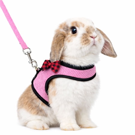 Small Animal Harness and Leash Set Escape Proof - Rabbit Harness with Rope Leash, Soft Breathable Vest for Bunny, Chinchilla, Hamster, Guinea Pig, Ferret, Other Small Pets(Large, Pink)