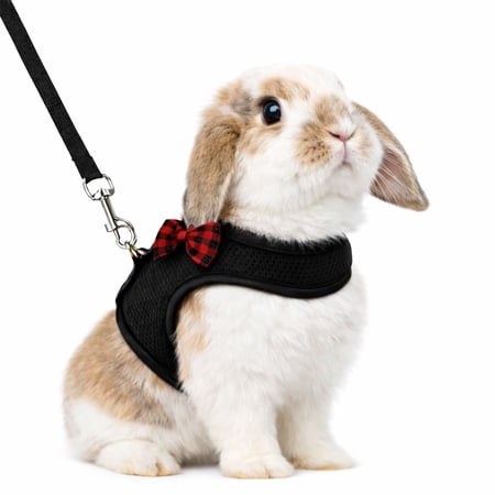 Small Animal Harness and Leash Set Escape Proof - Rabbit Harness with Rope Leash, Soft Breathable Vest for Bunny, Chinchilla, Hamster, Guinea Pig, Ferret, Other Small Pets(Large, Black)