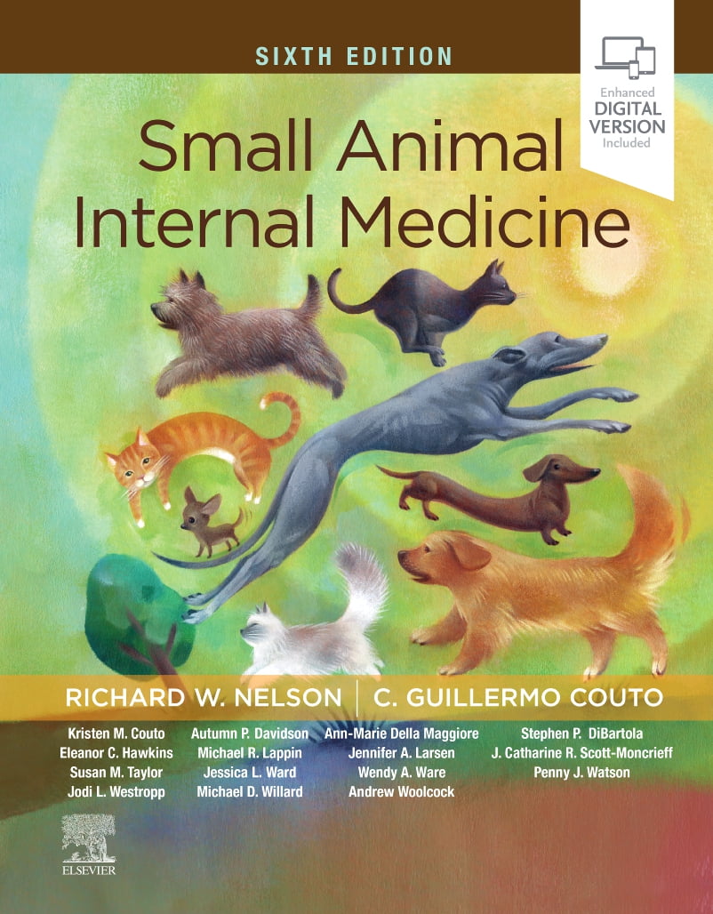 【裁断済】Small Animal Internal Medicine 1-4 Small Animal Internal Medicine - Walmart.com