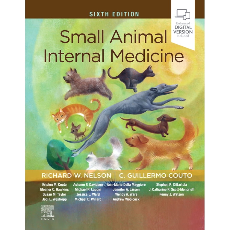 【裁断済】Small Animal Internal Medicine 1-4 Small Animal Internal Medicine - Walmart.com