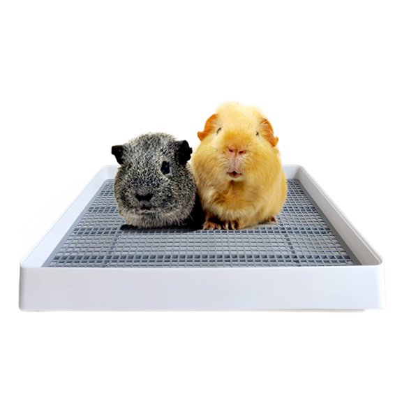 Small Animal Litter Box Medium For Rabbits Guinea Pigs And Other Pets