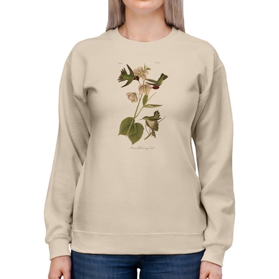 Small Anna Hummingbird Sweatshirt Women -John James Audubon Designs, Female 3X-Large