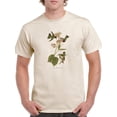 thumbnail image 1 of Small Anna Hummingbird T-Shirt Men -John James Audubon Designs, Male 3X-Large, 1 of 4