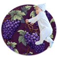 Small Area Rugs Bathroom Rugs Branches of Grapes Fruits NonSlip Throw