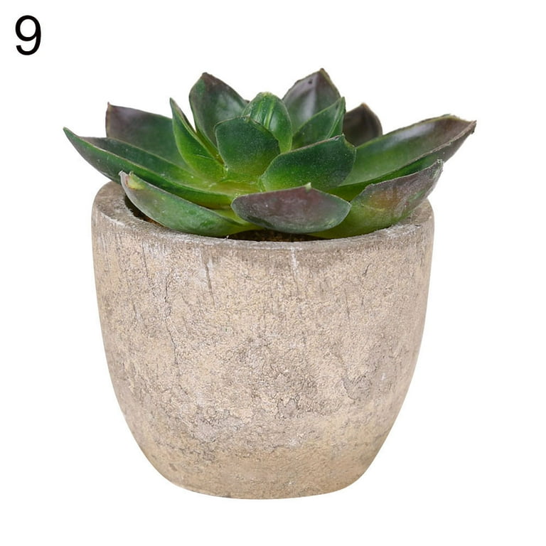 Mini Artificial Succulent Plant Fake Office Desk Garden Plastic Foliage Decor Mini Artificial Succulent Plant Fake Office Desk Garden Plastic Foliage Decor