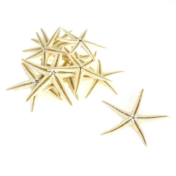 Small Assorted Nautical Finger Starfish, 12-Count