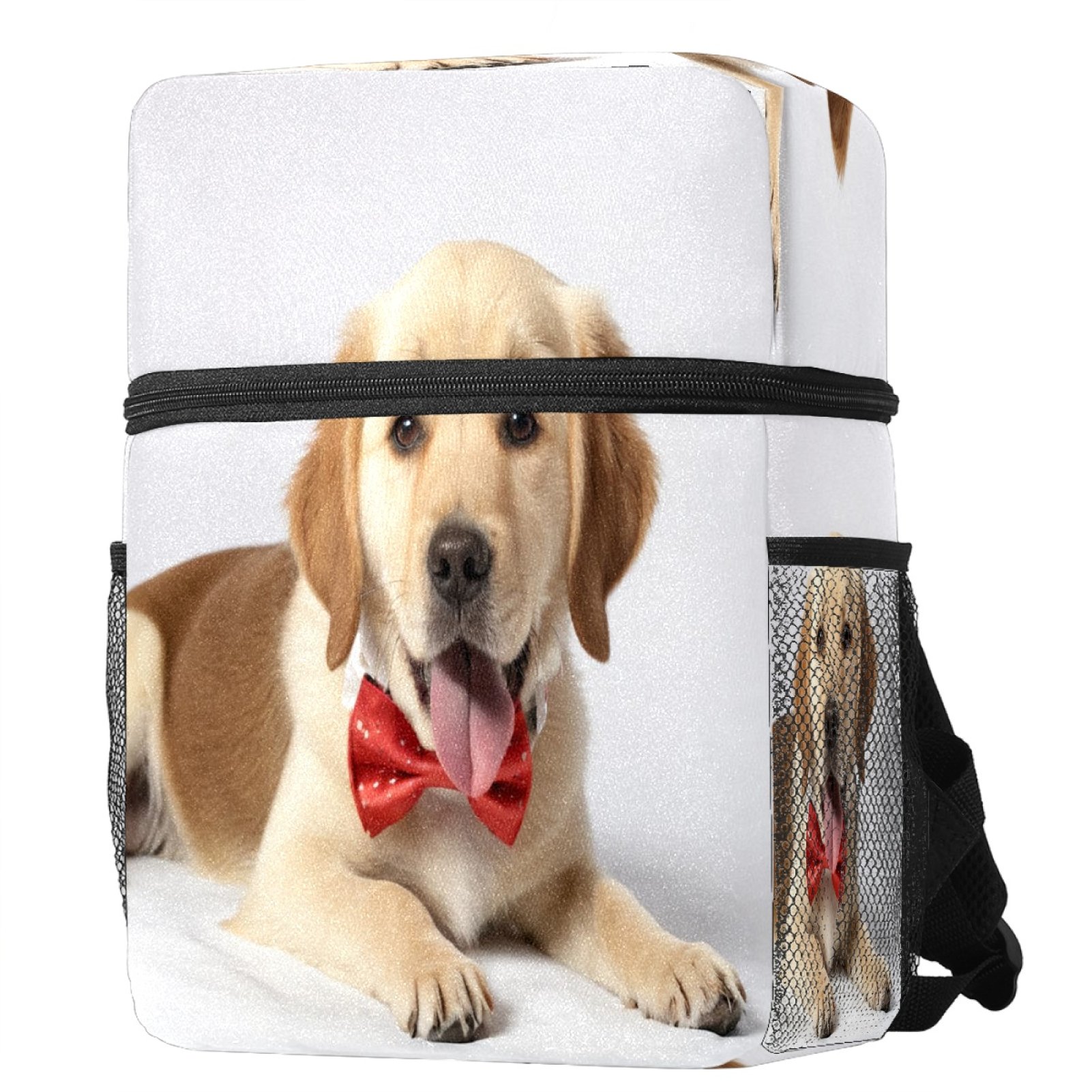 Small Backpack,Backpack for Women,Flip over Rectangular Backpack,Golden