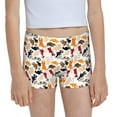 Easygdp Cute Cats Girls Hipster Cotton Underwear Little Girls