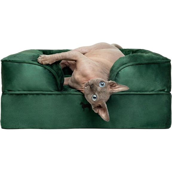 Small Bed, 20x15x8 Inch, Bed for Indoor Cats, Eggshell Memory Infused with Cooling Gel, Inner Cover Machine Washable ( Collection)