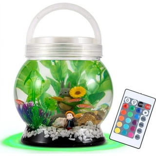 Betta Fish