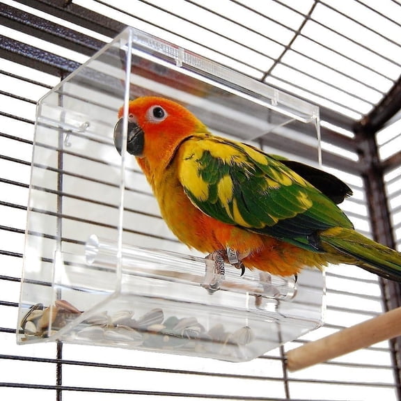 Small Bird Feeder for Canaries & Budgies - Easy Maintenance Design