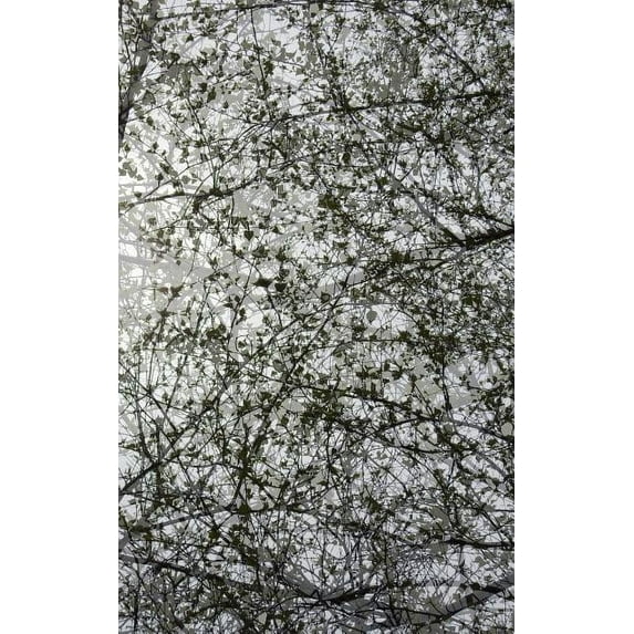 Small Blank Journal 15: Branching Beauty, (Paperback)