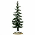 thumbnail image 1 of Small Blue Spruce Tree, 1 of 1