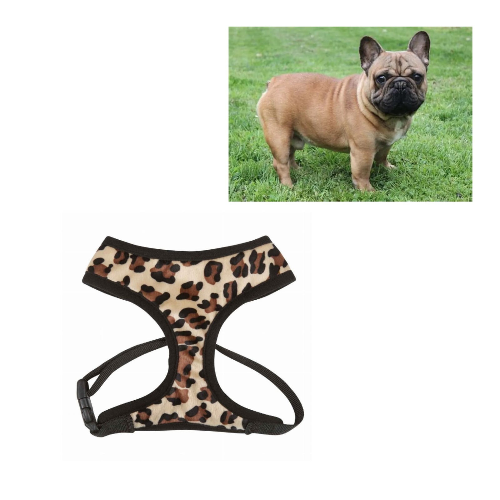 Small Breed Dog Harness Cheetah or Zebra Plush Adjustable Chest Strap and D Ring (Cheetah - Medium)