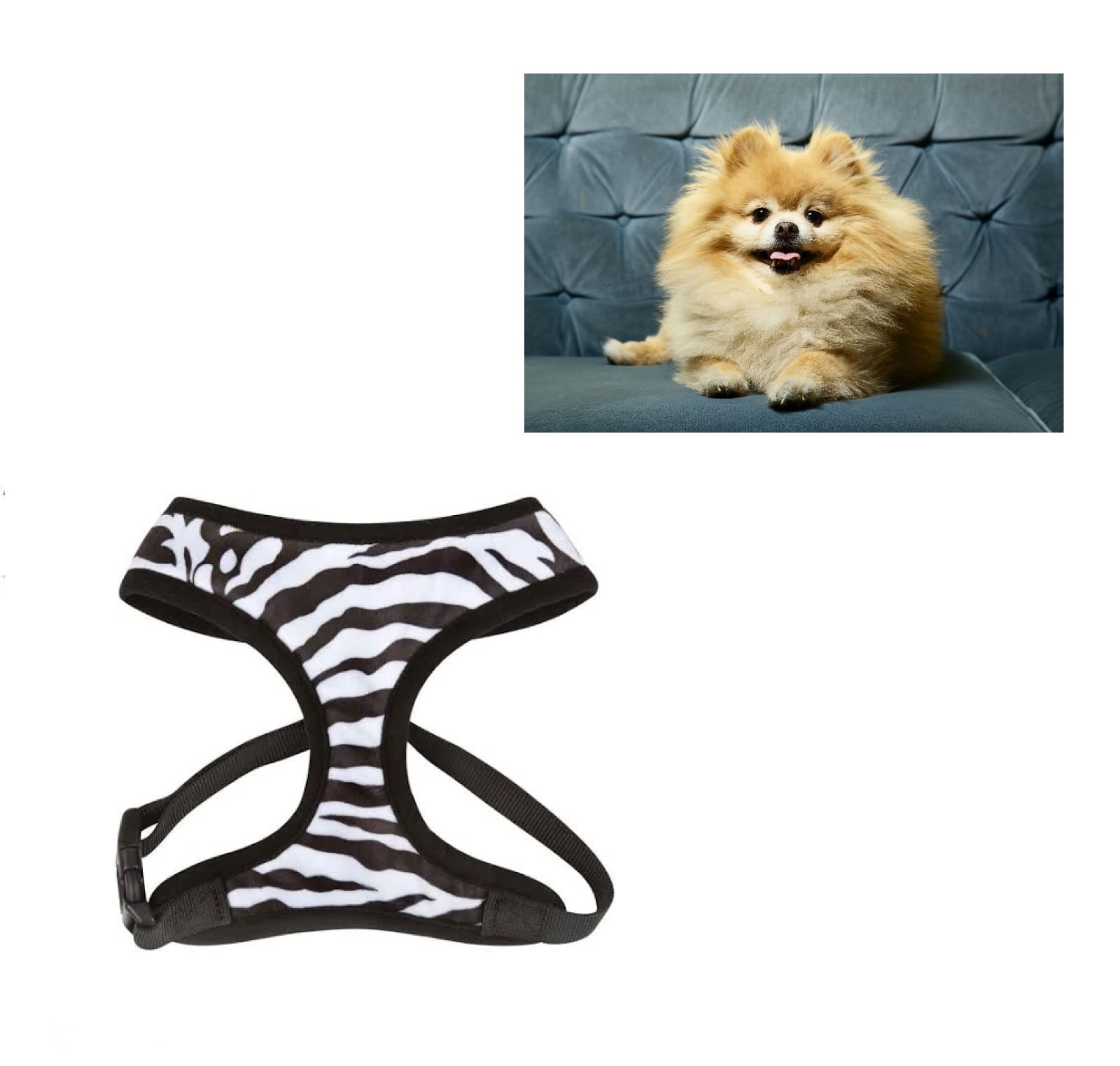 Small Breed Dog Harness Cheetah or Zebra Plush Adjustable Chest Strap and D Ring (Zebra - Small)