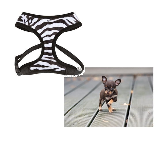 Small Breed Dog Harness Cheetah or Zebra Plush Adjustable Chest Strap and D Ring (Zebra - xSmall)