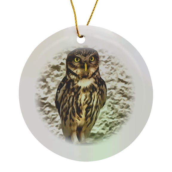 3drose, Small Brown Barn Owl Artistic Portrait, Circle Porcelain Ornament