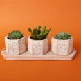 thumbnail image 1 of Small Butterfly Hex Terracotta Pot Tray Set, 1 of 4