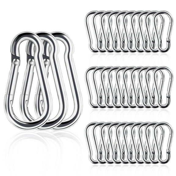 Small Carabiner Clip, 30pcs 1.57inch Mini Carabiners Clips, M4 Stainless Steel Spring Snap Hook Heavy Duty, Locking Carribenares for Climbing Hiking Camping Fishing