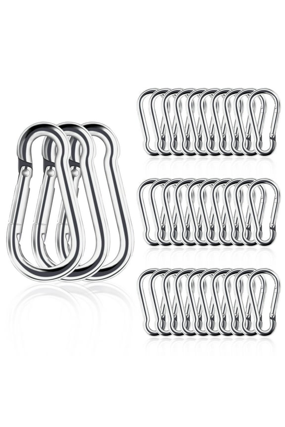 Small Carabiner Clip, 30pcs 1.57inch Mini Carabiners Clips, M4 Stainless Steel Spring Snap Hook Heavy Duty, Locking Carribenares for Climbing Hiking Camping Fishing