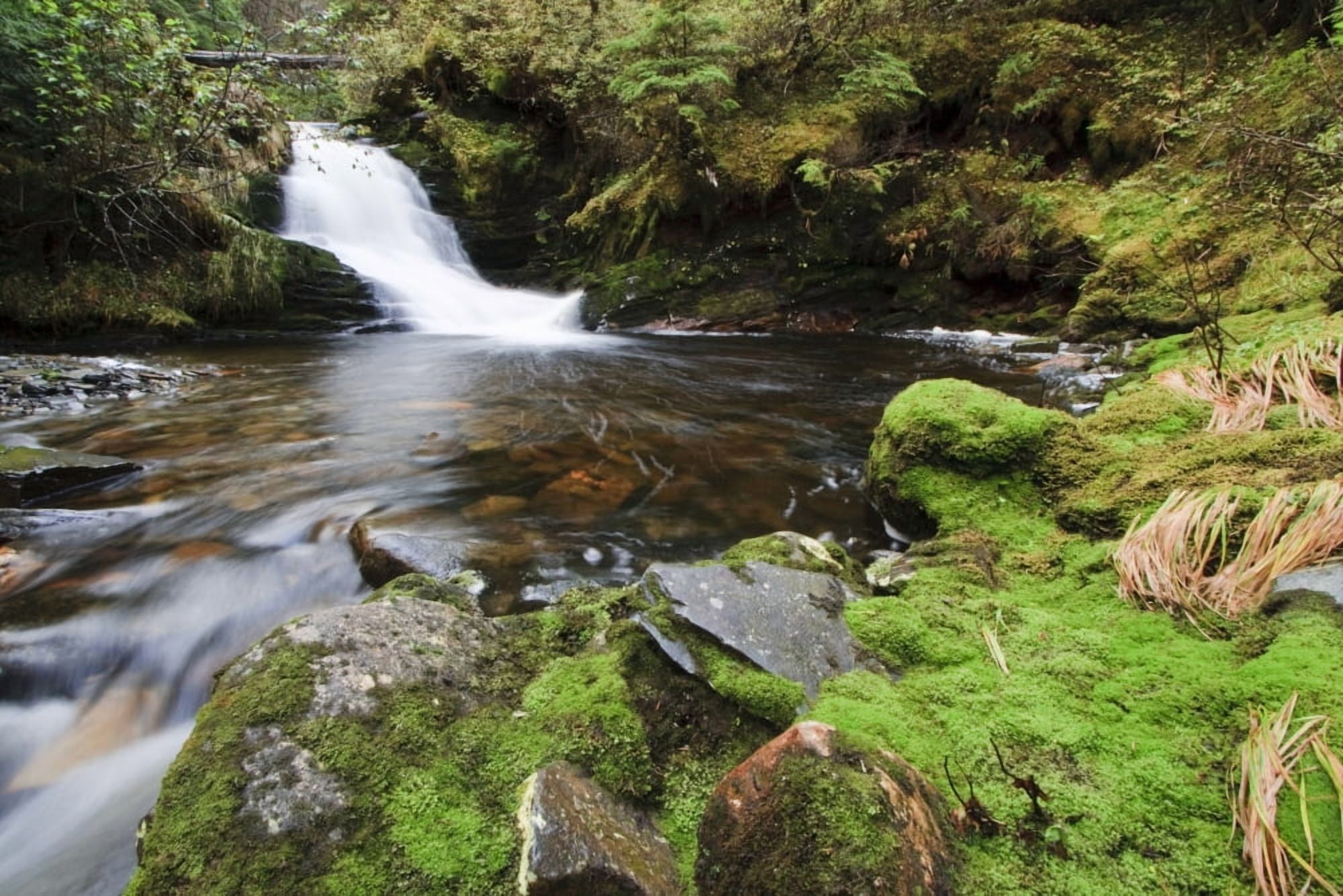 Small Cascade On Institute Creek Wrangell Island Alaska Canvas Art - Quentin Smith Design Pics (34 x 22)