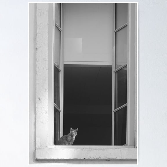 Small Cat At Big Window Street Photography In Black And White Poster Wall Art, Modern Wall Decor For Living Room Bedroom, 16x24 UNFRAMED