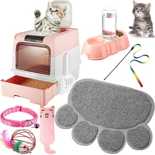 Kitten starter kit walmart outlet