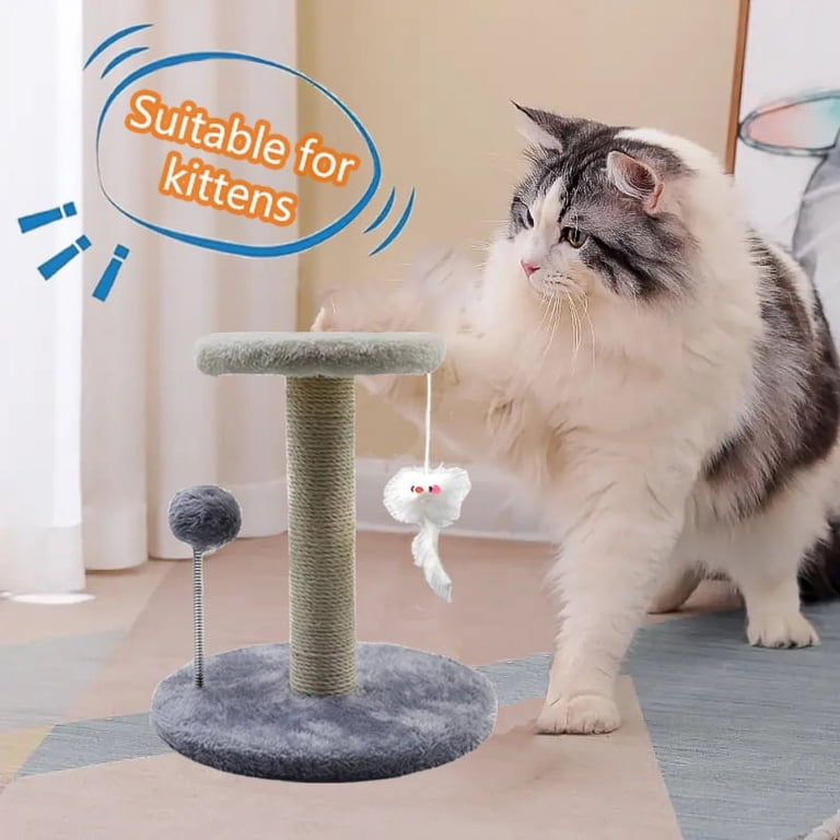 automatic cat ball toy Automatic Rolling Ball Toy for Cats