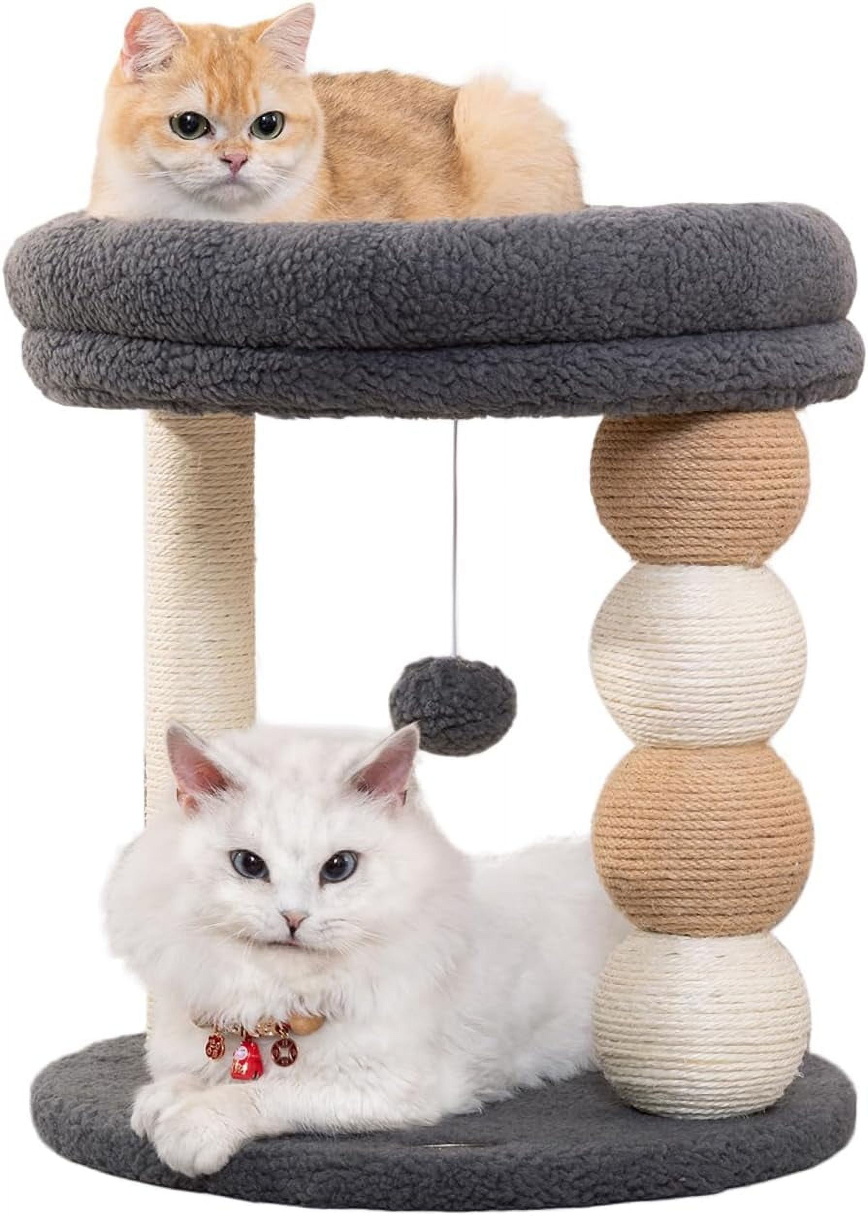 Small Cat Tree for Indoor Cats with Large Cozy Plush Top Perch, Natural