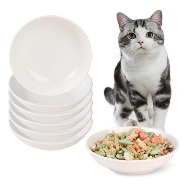 5.75 inch Wide Shallow Cat Bowl for Whisker Fatigue Relief 6 Pack