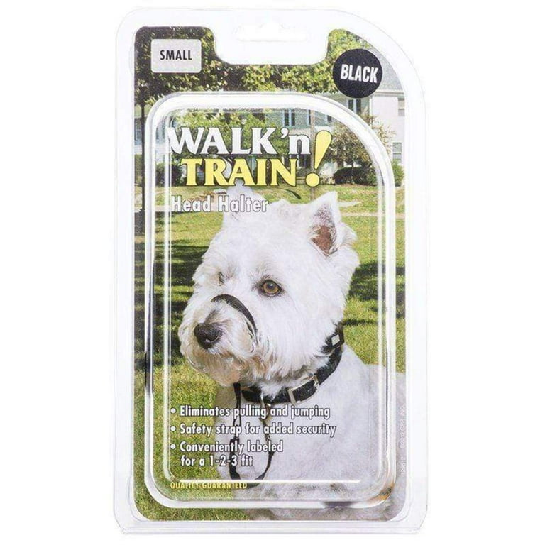 Small Coastal Pet Walk n Train Head Halter Black Walmart