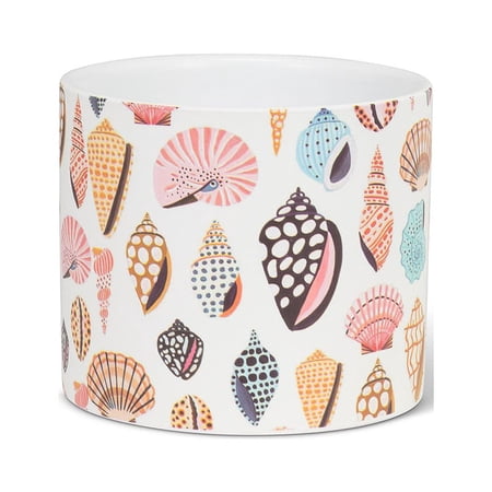 Small Colourful Shells Planter
