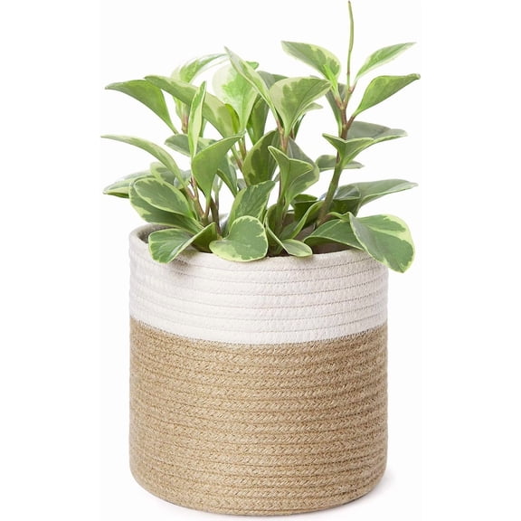 Small Cotton Rope Plant Basket Woven Plant Coiled Basket for Up to 7" Planter, Decorative Flower Pot Cover Closet Storage Bin Table Desk Organizer for Home Decor, White and Beige