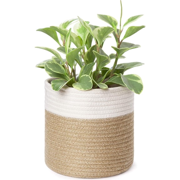Small Cotton Rope Plant Basket Woven Plant Coiled Basket for Up to 8" Planter, Decorative Flower Pot Cover Closet Storage Bin Table Desk Organizer for Home Decor, White and Beige