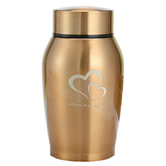 Small Cremation Urn Jar Holder Keepsake for Human Pet Ashes Memorial Funeral Box