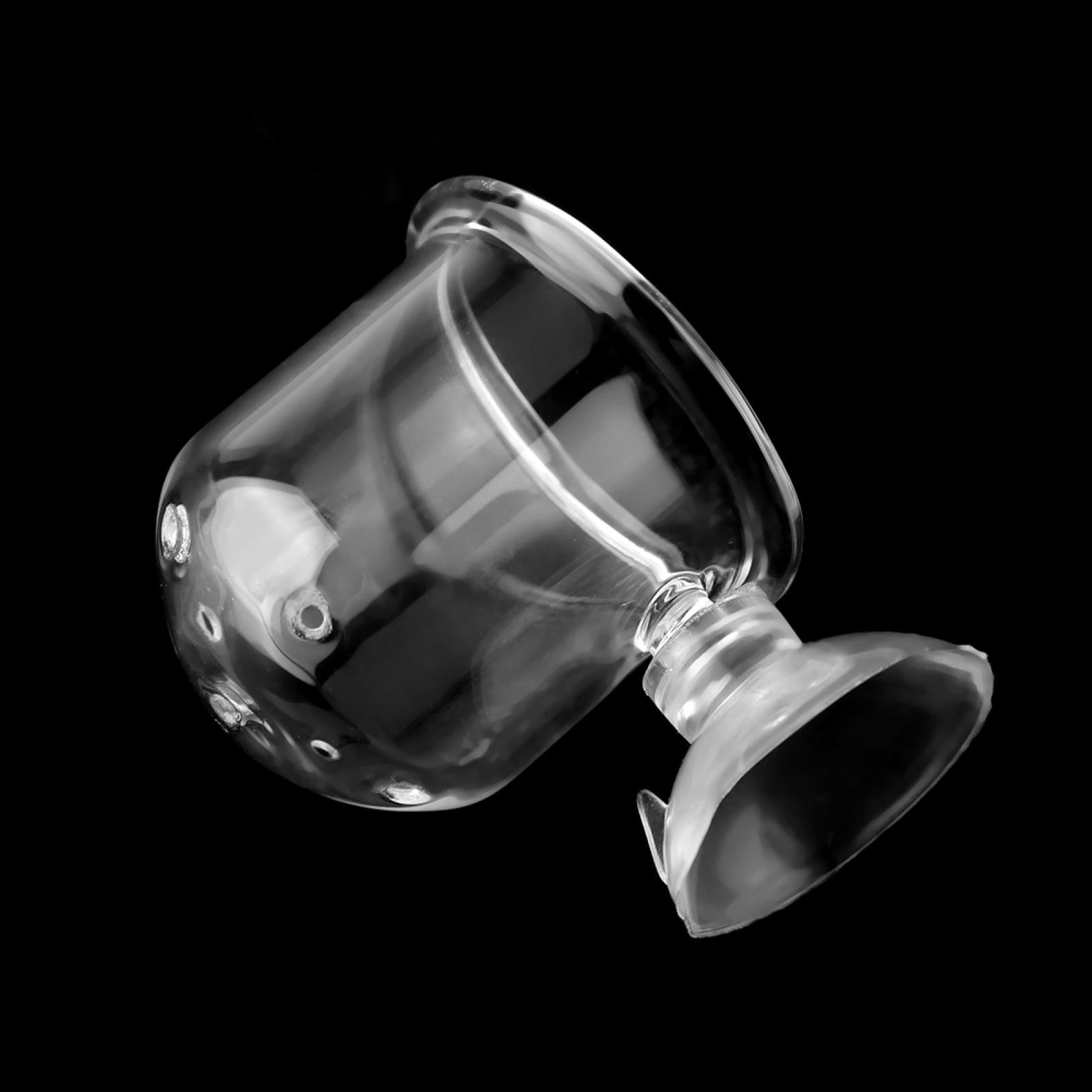 Small Crystal Glass Plant Feeding Cup Fish Red Feeder Cups For
