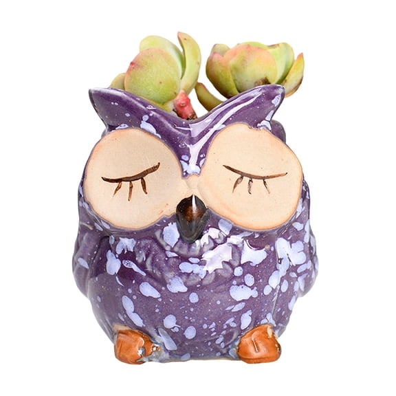 Small Cute Flower Pots Succulent Plant Holder Container - Owl Ceramic Planters Plant Pots with Drainage Hole Pen Pencil Holder Cute Owl Flower Planters for Indoor Outdoor Plants