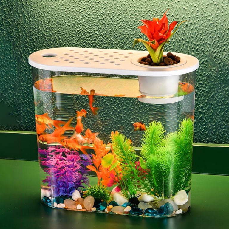 Image showcasing Mini Goldfish Tank Goldfish Aquarium Mini Game Works In Progress