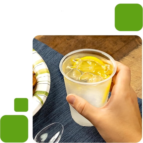 Small Disposable Clear Plastic Cups, 9oz, 100 Count