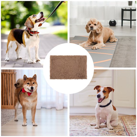 Small Dog Blanket, Soft Warm Pet Throw, Cozy Flannel Mat for Crate & Bed, 22*16 Inch