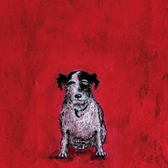 Small Dog Canvas Art - Sam Toft (24 x 24)