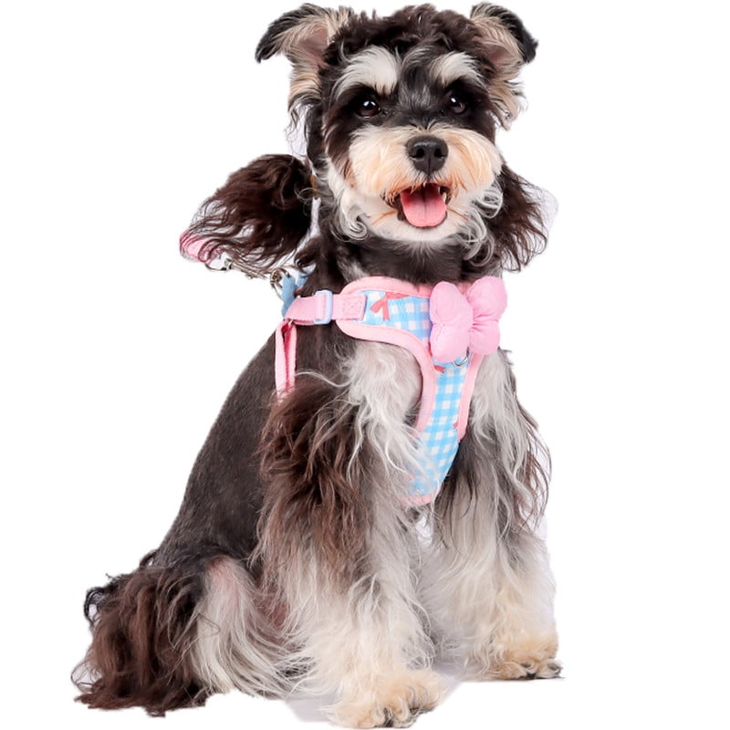 Small Dog Chest Harness with Bow, Cute Harness for Kitty Puppy Bunny,djustable Kitten Harness and Leash Set