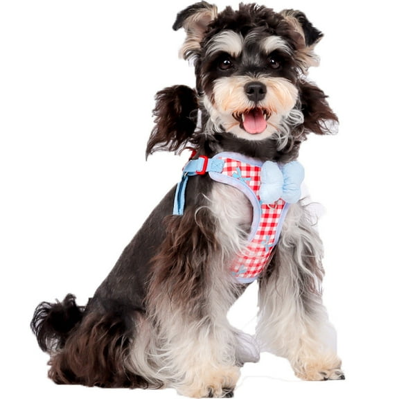 Small Dog Chest Harness with Bow, Cute Harness for Kitty Puppy Bunny,djustable Kitten Harness and Leash Set