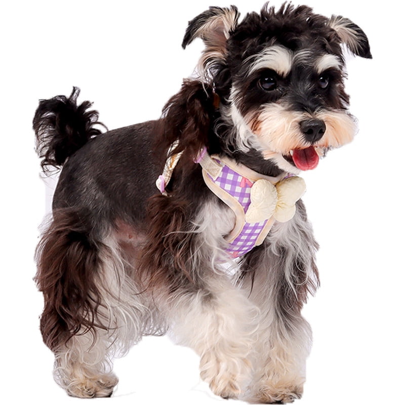 Small Dog Chest Harness with Bow, Cute Harness for Kitty Puppy Bunny,djustable Kitten Harness and Leash Set