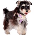 thumbnail image 1 of Small Dog Chest Harness with Bow, Cute Harness for Kitty Puppy Bunny,djustable Kitten Harness and Leash Set, 1 of 8