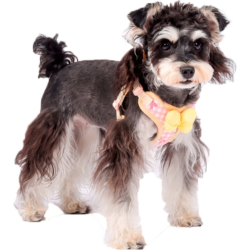Small Dog Chest Harness with Bow, Cute Harness for Kitty Puppy Bunny,djustable Kitten Harness and Leash Set